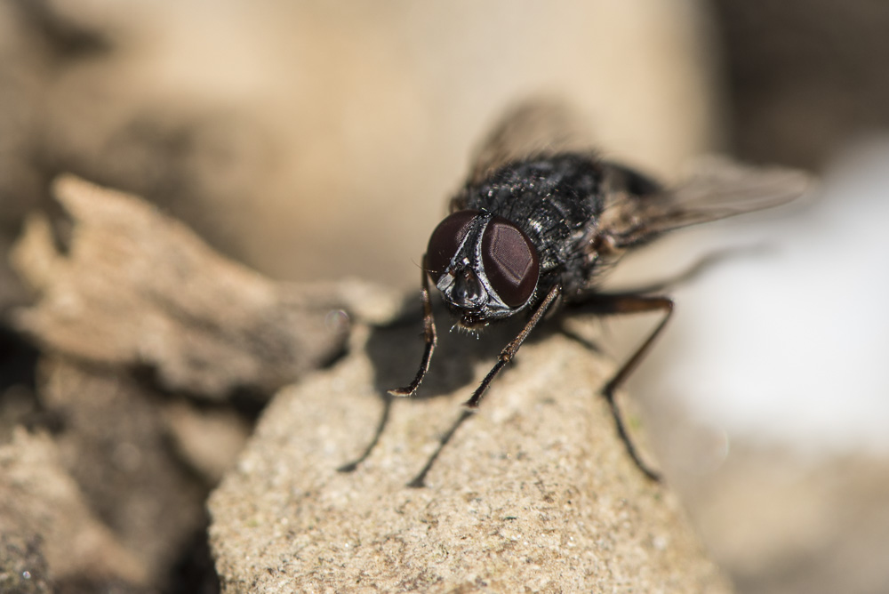 11. Platz Karoline Thalhofer